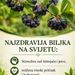 NAJZDRAVIJA BILJKA NA SVIJETU: Stimulira rad štitnjače i jetre, snižava visoki pritisak i holesterol te smanjuje rizik od raka