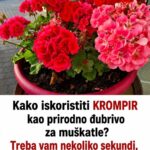 Kako iskoristiti KROMPIR kao prirodno đubrivo za muškatle? Treba vam nekoliko sekundi, a cveće će bujati do oktobra