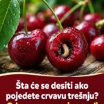 Šta će se desiti ako pojedete crvavu trešnju? Odgovor mnoge iznenadi