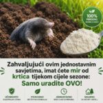 Zahvaljujući ovim jednostavnim savjetima, imat ćete mir od krtica tijekom cijele sezone: Samo uradite OVO!