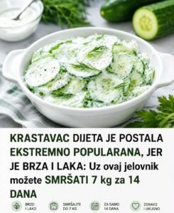 91552c64-24a5-4337-96bd-c5569cd141fc
