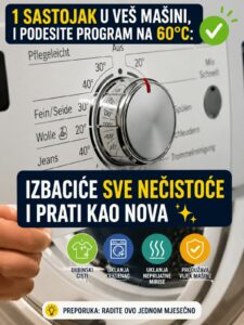 ad5b75b9-731d-4f13-abb5-a18d1d17e829