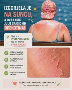 fc5de083-f56a-4b59-ad30-221390cc035e